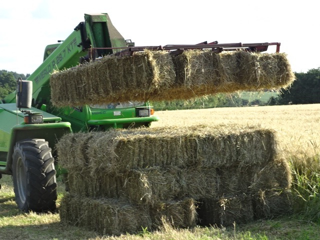 Moving Hay image